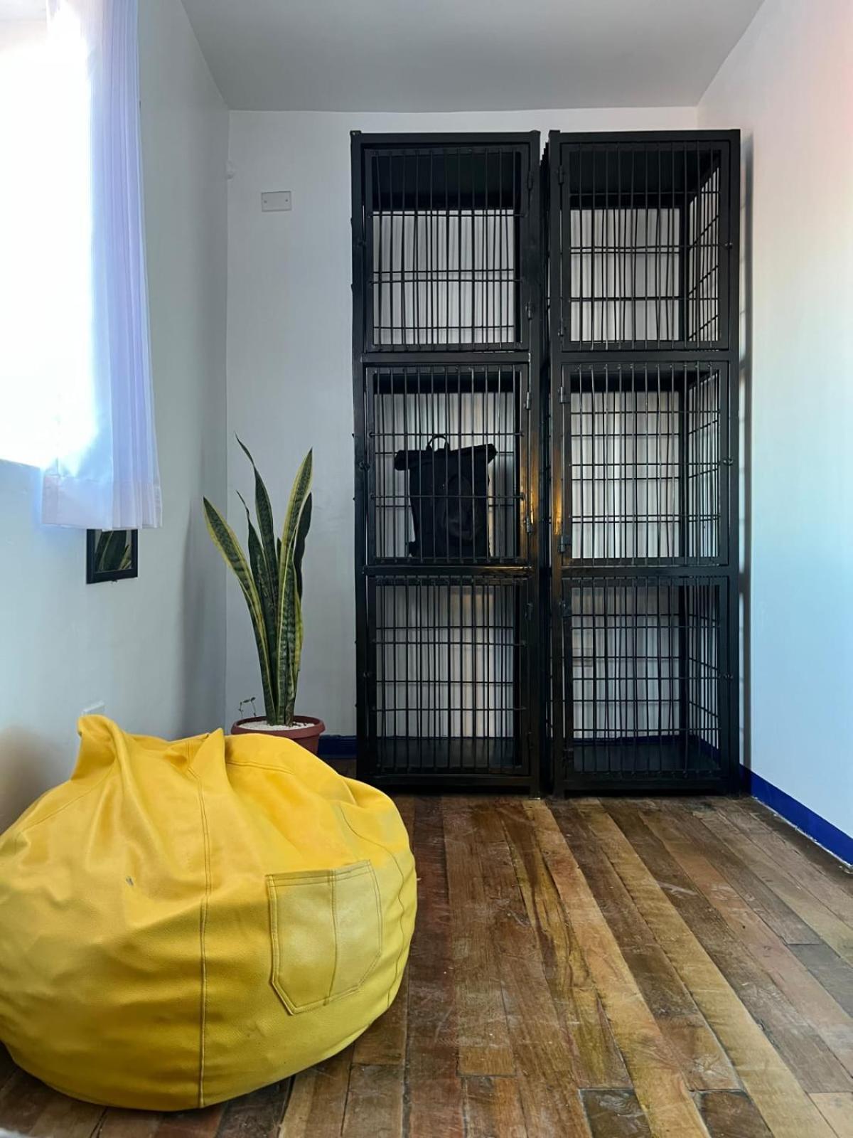 Haku Hostel Κούζκο Εξωτερικό φωτογραφία